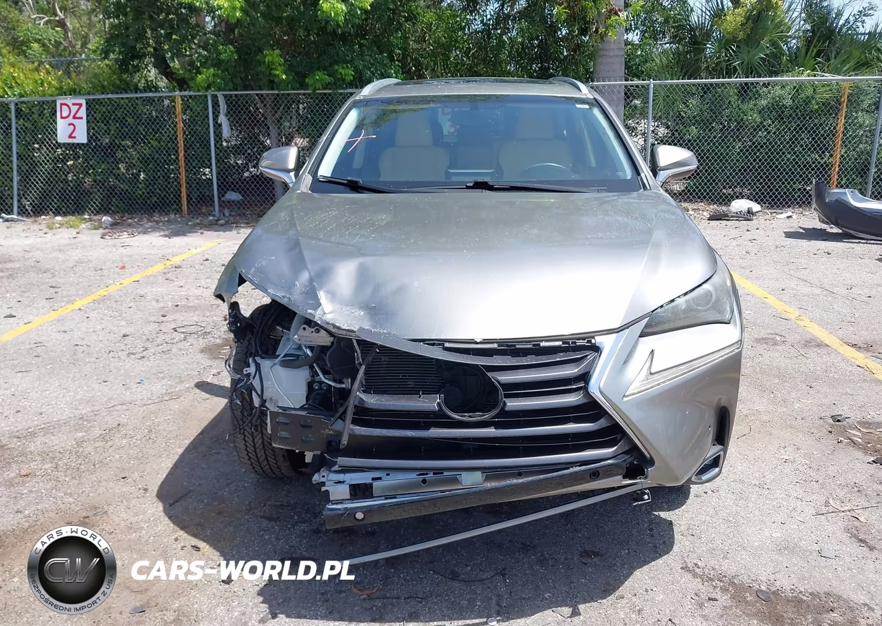 2015 Lexus Nx 200T VIN:JTJYARBZ8F2019342 - 12