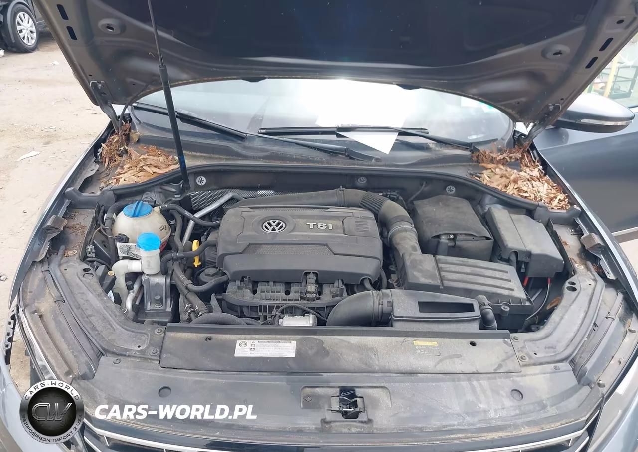 2017 Volkswagen Passat 1.8T S VIN:1VWAT7A31HC041273 - 10