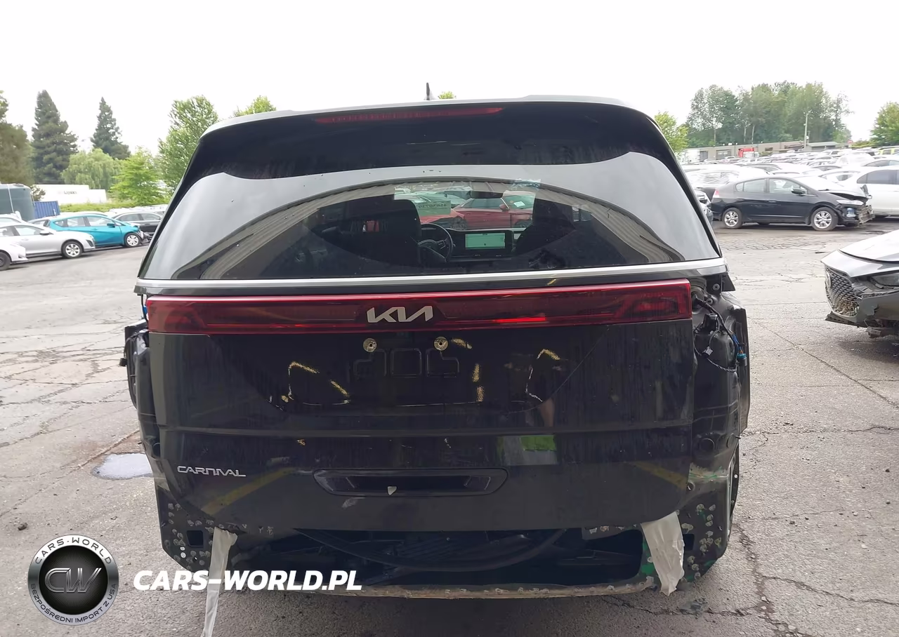 2024 Kia Carnival Mpv Ex VIN:KNDNC5H36R6352793 - 17