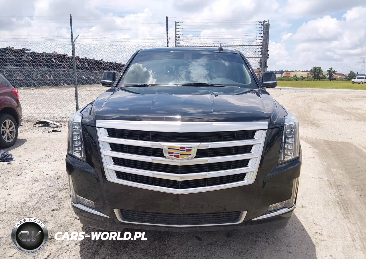2019 Cadillac Escalade Standard VIN:1GYS3AKJXKR208293 - 12