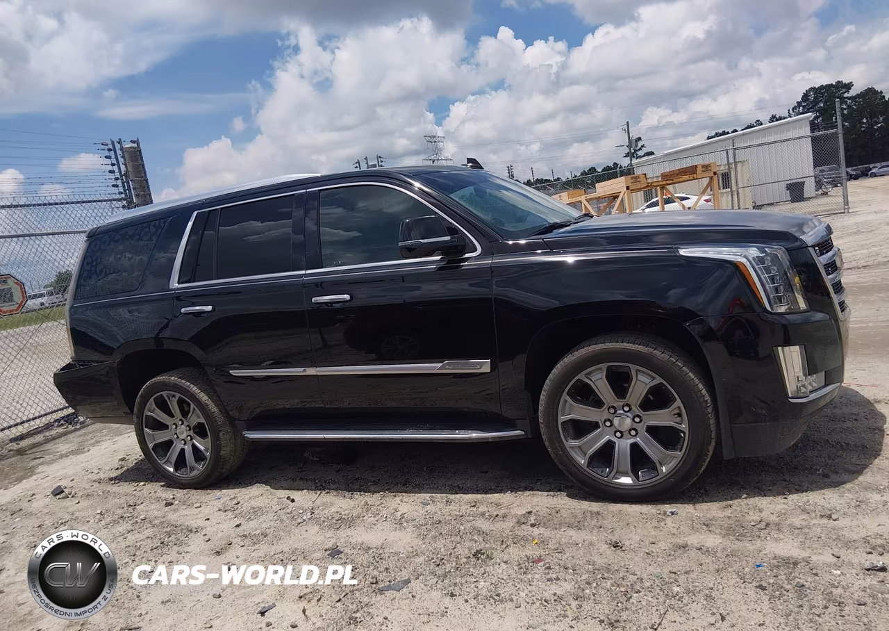 2019 Cadillac Escalade Standard VIN:1GYS3AKJXKR208293 - 13