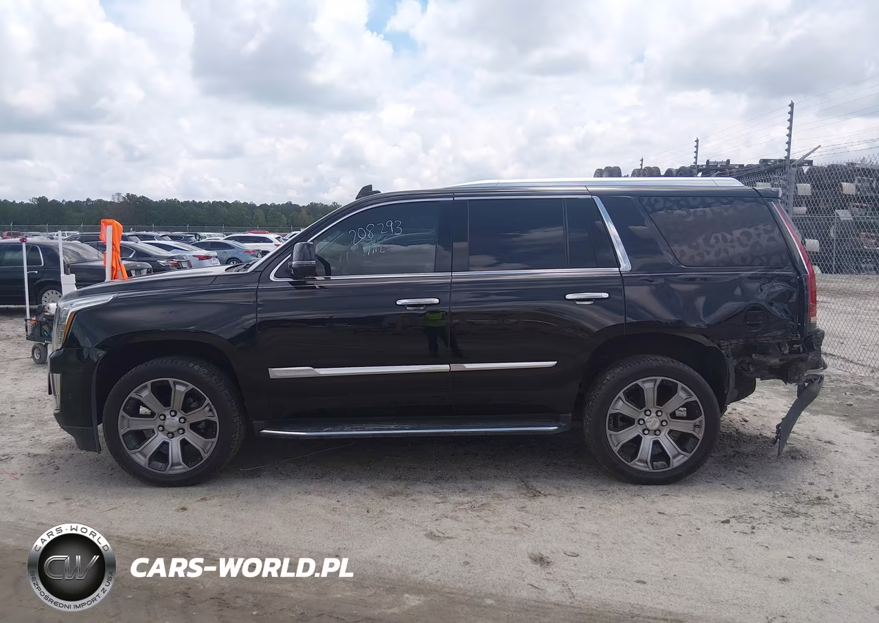 2019 Cadillac Escalade Standard VIN:1GYS3AKJXKR208293 - 14