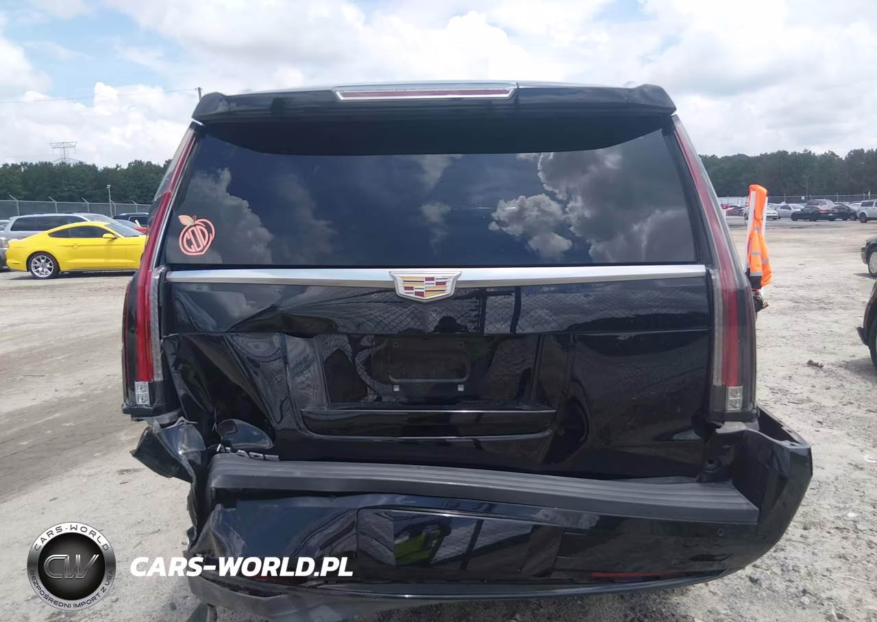 2019 Cadillac Escalade Standard VIN:1GYS3AKJXKR208293 - 16