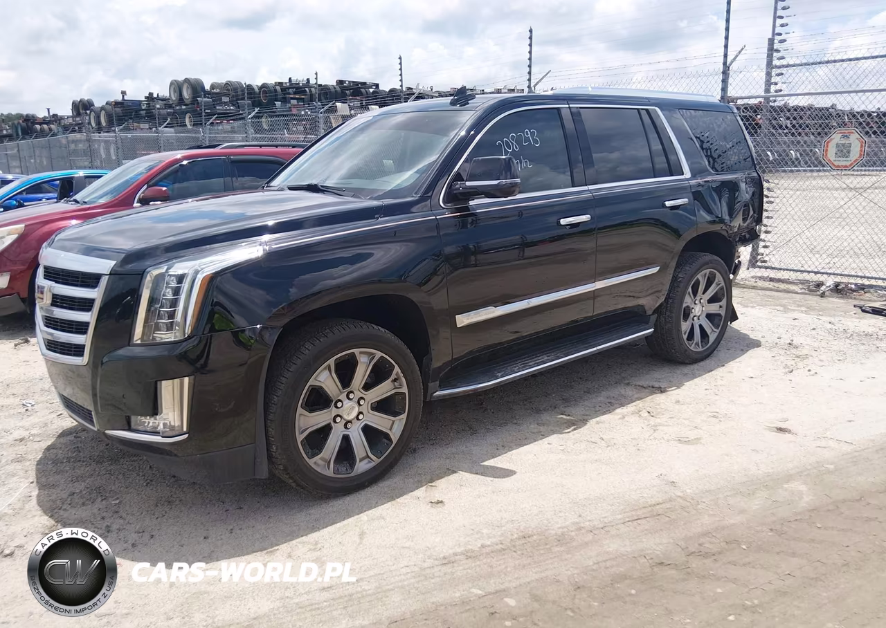 2019 Cadillac Escalade Standard VIN:1GYS3AKJXKR208293 - 2