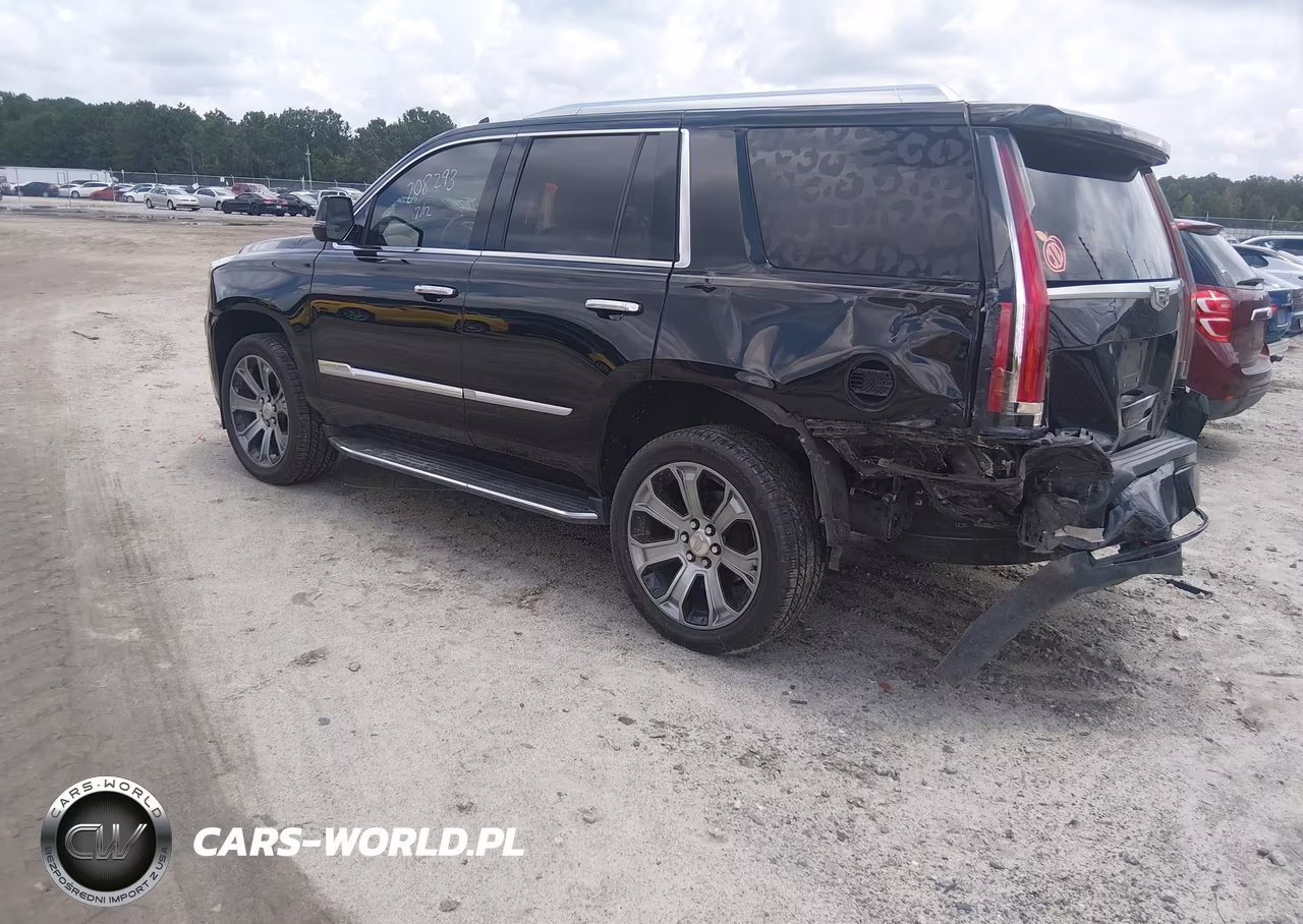 2019 Cadillac Escalade Standard VIN:1GYS3AKJXKR208293 - 3
