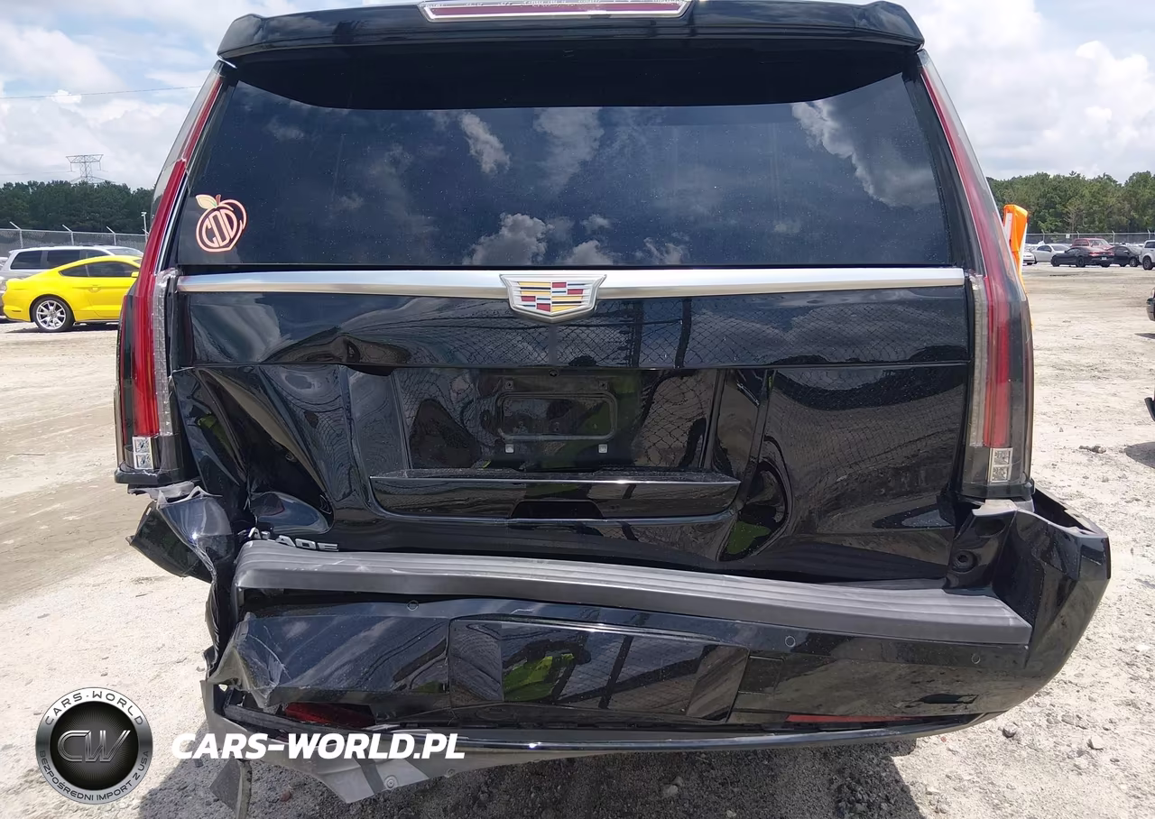 2019 Cadillac Escalade Standard VIN:1GYS3AKJXKR208293 - 6