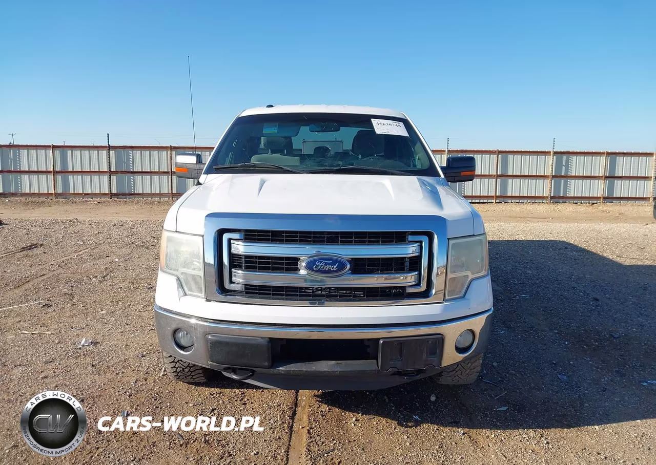 2013 Ford F-150 Xlt VIN:1FTFX1ET6DKD70099 - 12
