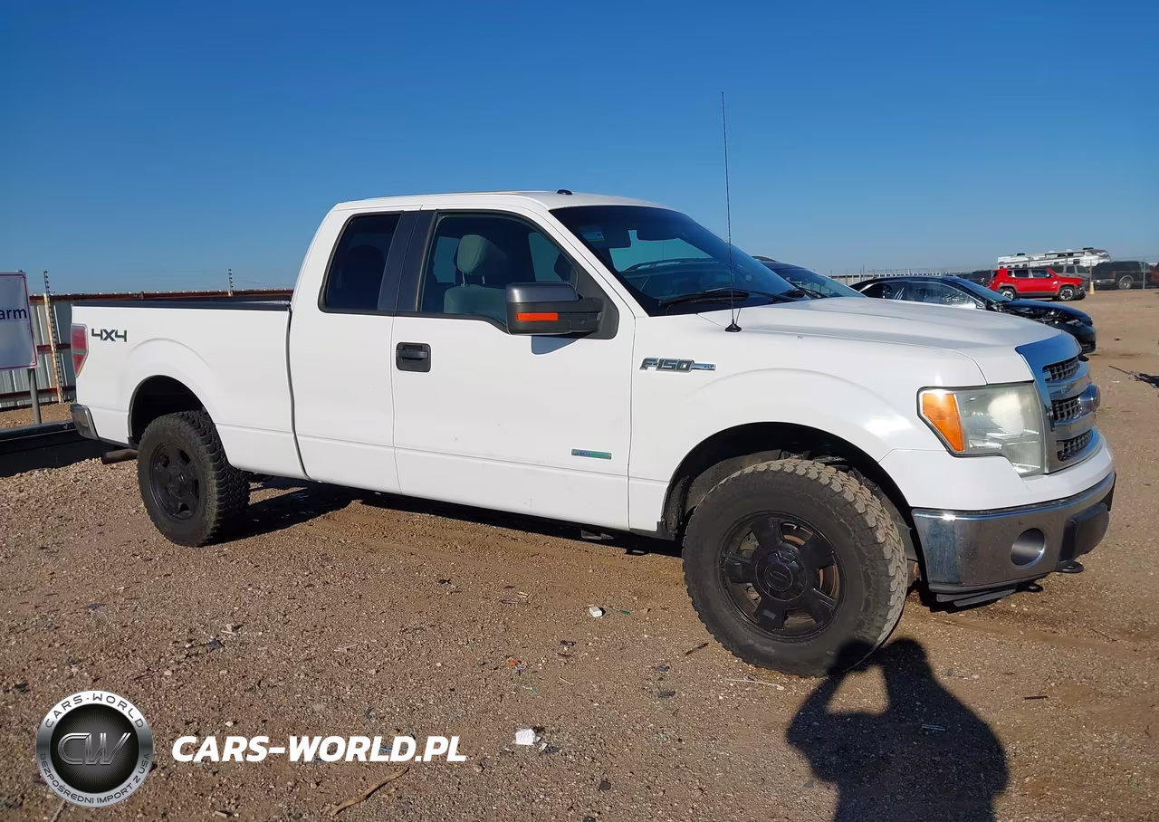 2013 Ford F-150 Xlt VIN:1FTFX1ET6DKD70099 - 13