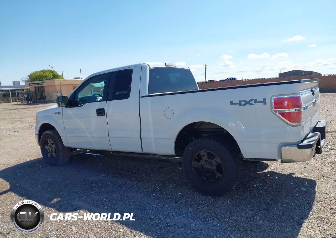 2013 Ford F-150 Xlt VIN:1FTFX1ET6DKD70099 - 14