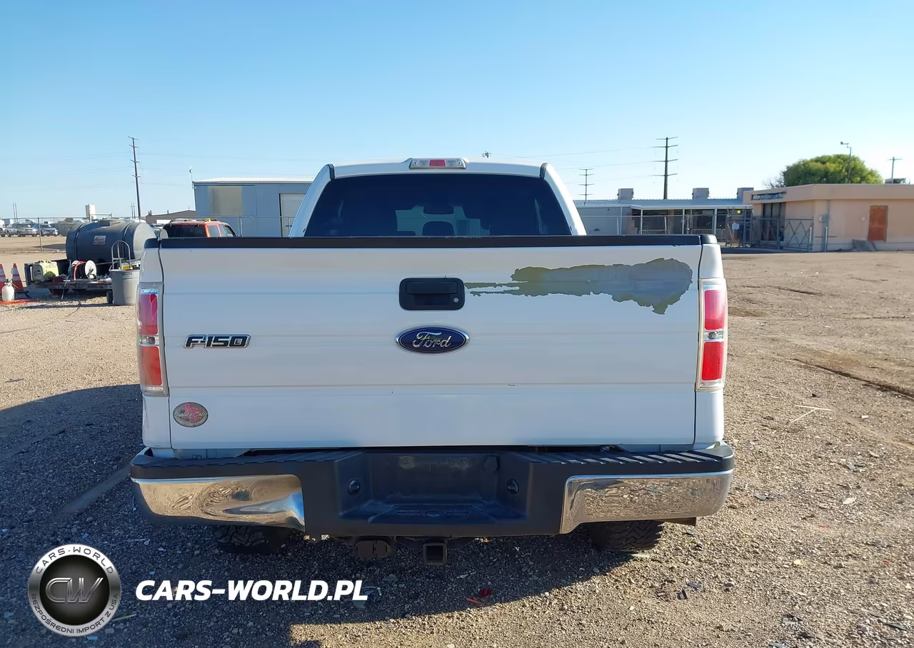 2013 Ford F-150 Xlt VIN:1FTFX1ET6DKD70099 - 16