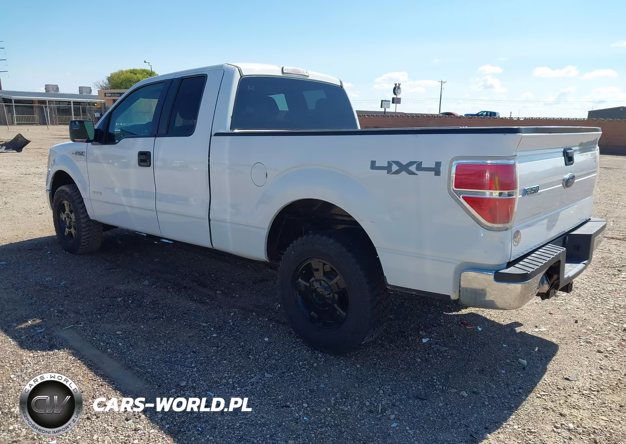2013 Ford F-150 Xlt VIN:1FTFX1ET6DKD70099 - 3