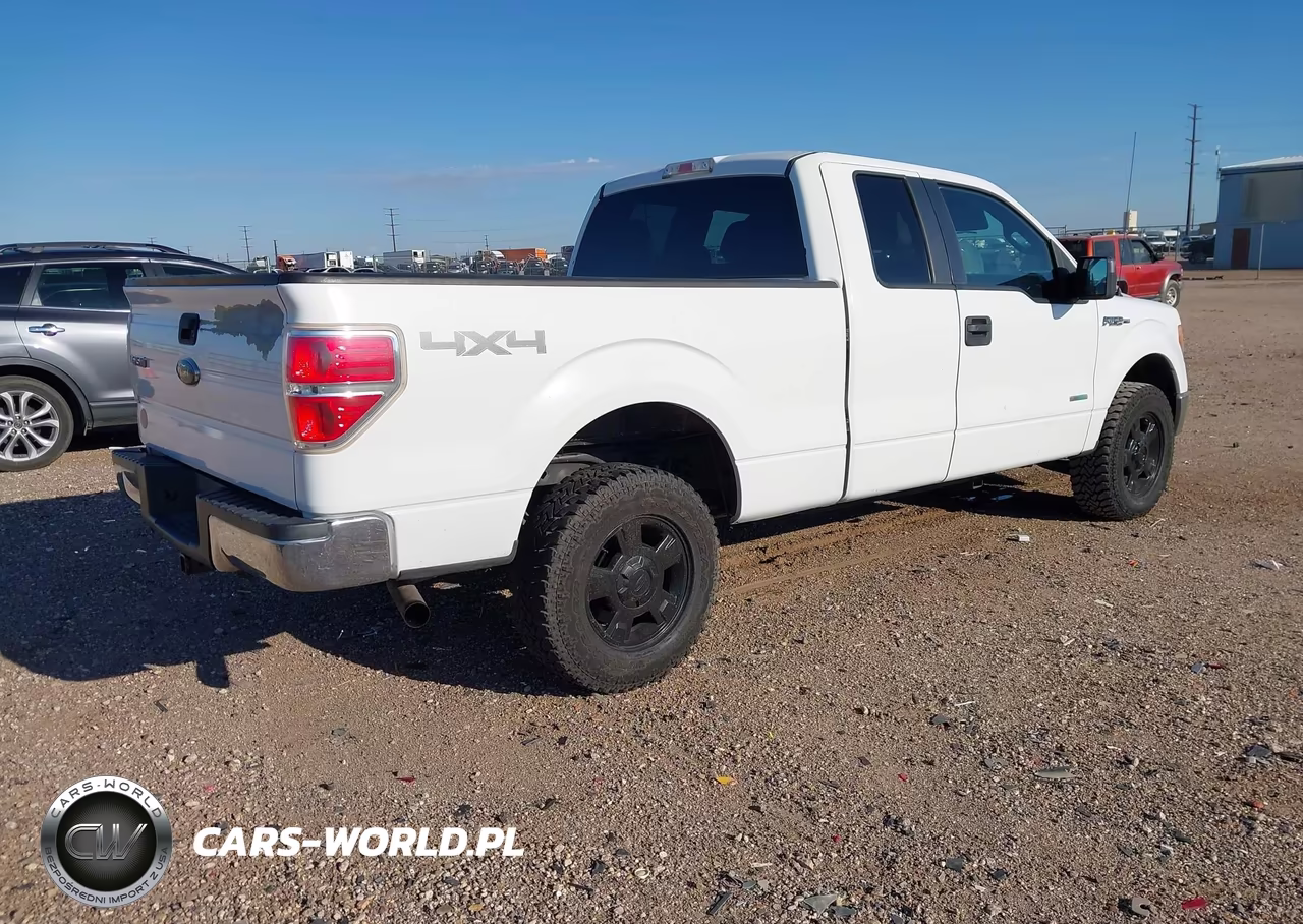 2013 Ford F-150 Xlt VIN:1FTFX1ET6DKD70099 - 4