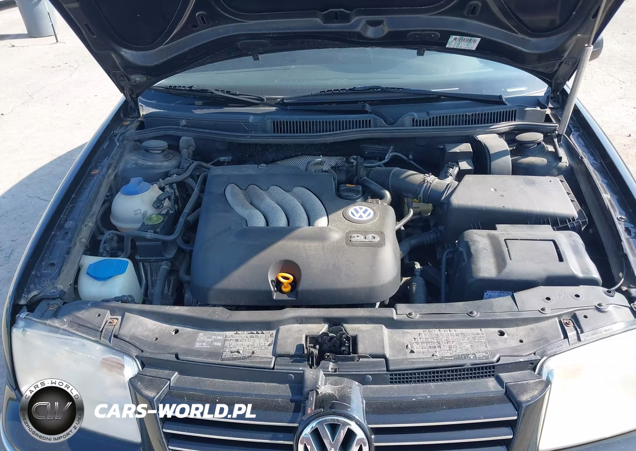 2004 Volkswagen Jetta Gl VIN:3VWRA69M64M014093 - 10