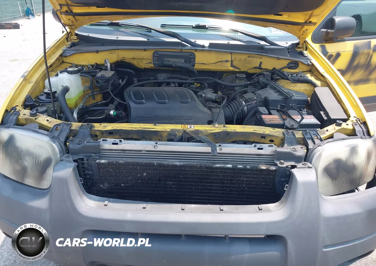 2003 Ford Escape Xlt VIN:1FMYU93173KD08562 - 10