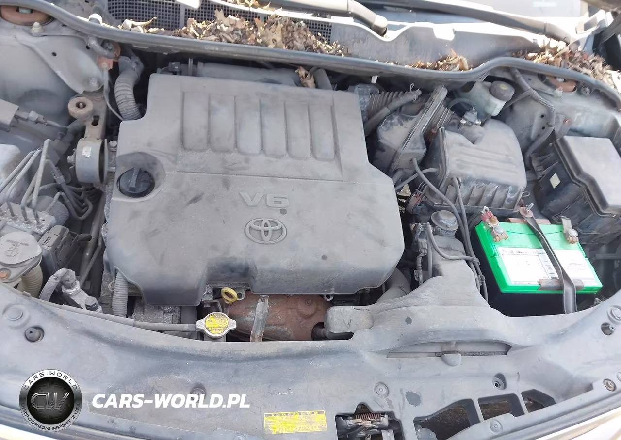 2013 Toyota Venza Le V6 VIN:4T3ZK3BB1DU057682 - 10