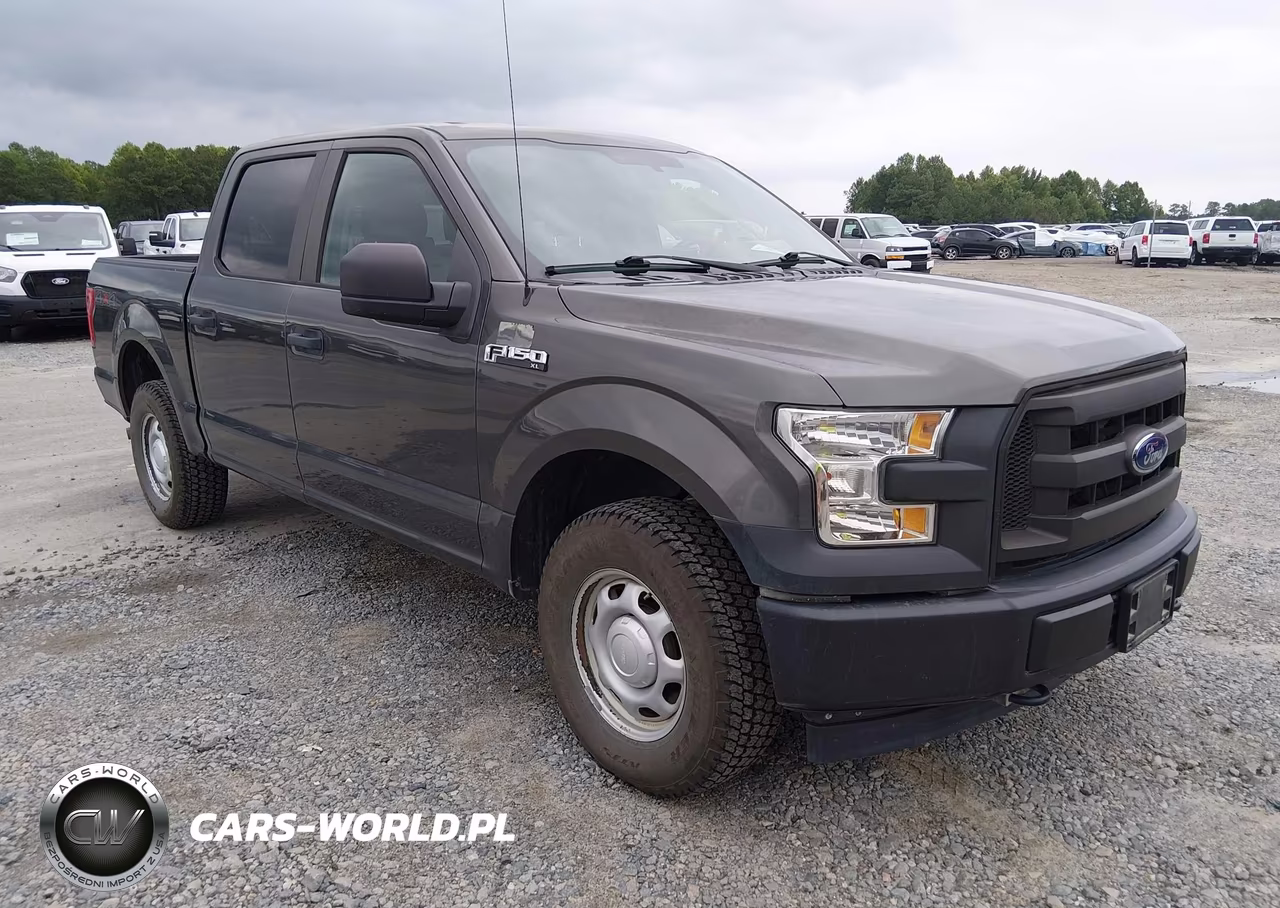 2017 Ford F-150 Xl – zdjęcie 1 z 17