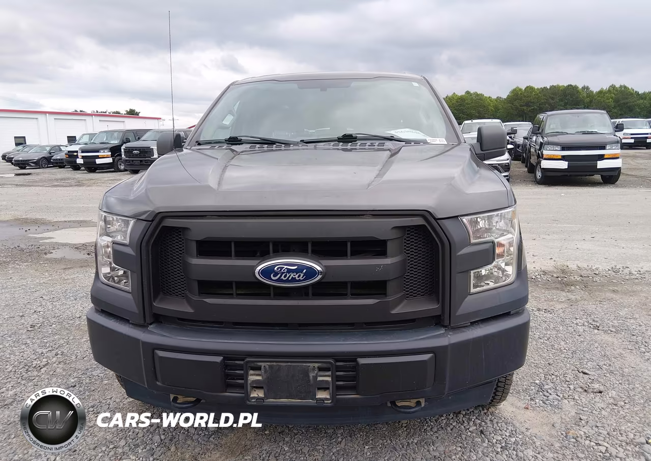 2017 Ford F-150 Xl VIN:1FTEW1E89HKE26181 - 13