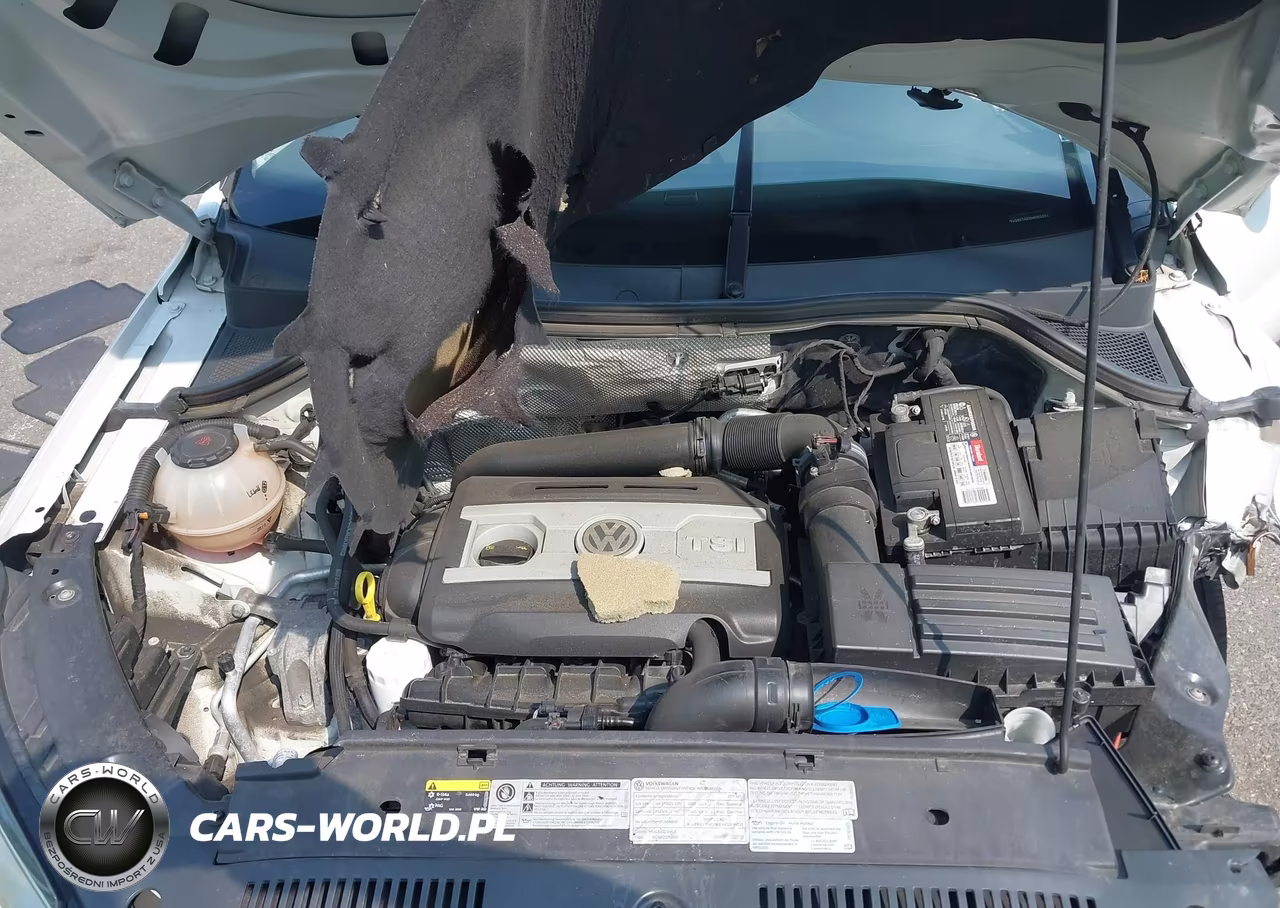 2017 Volkswagen Tiguan 2.0T-2.0T S VIN:WVGBV7AX0HK050262 - 10