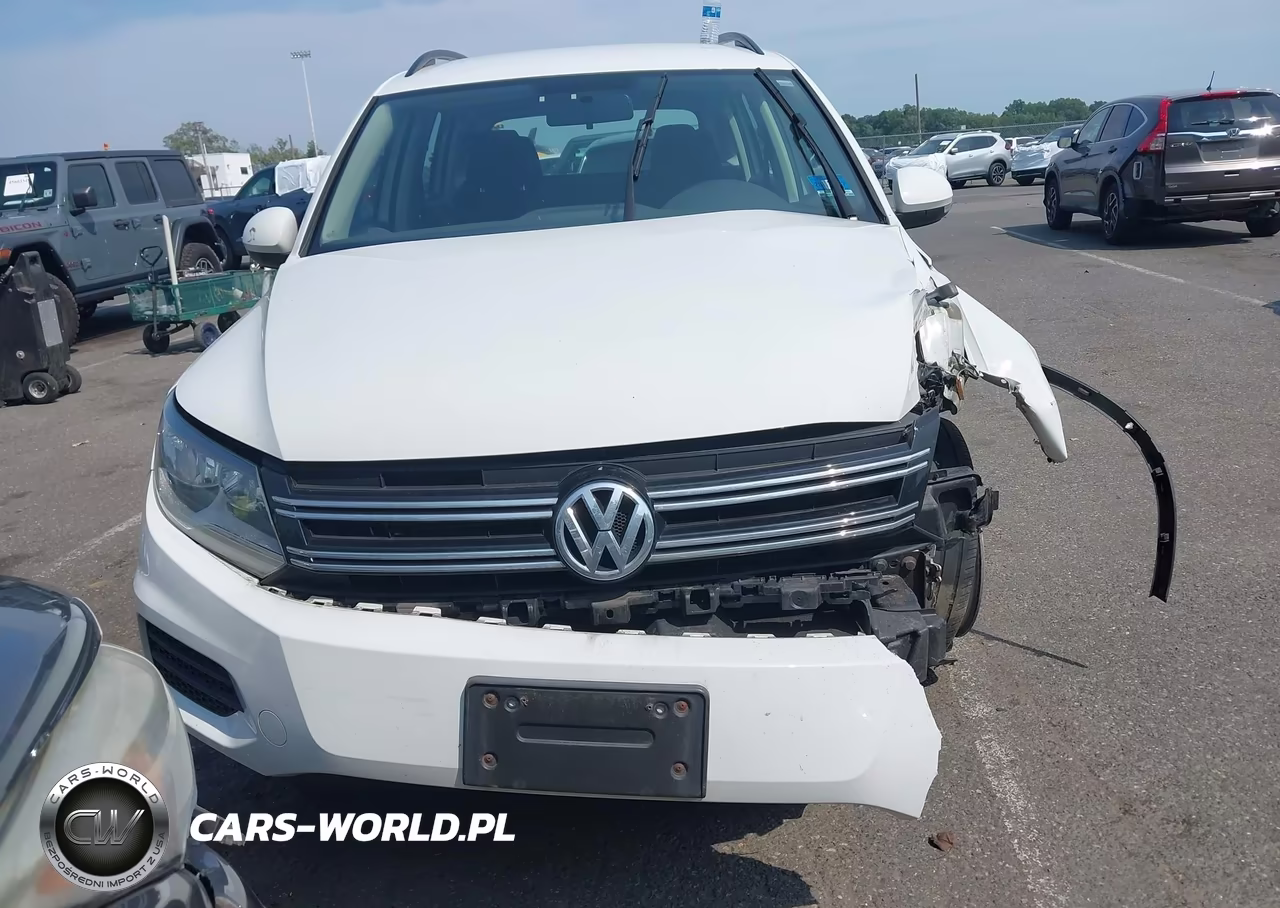2017 Volkswagen Tiguan 2.0T-2.0T S VIN:WVGBV7AX0HK050262 - 12
