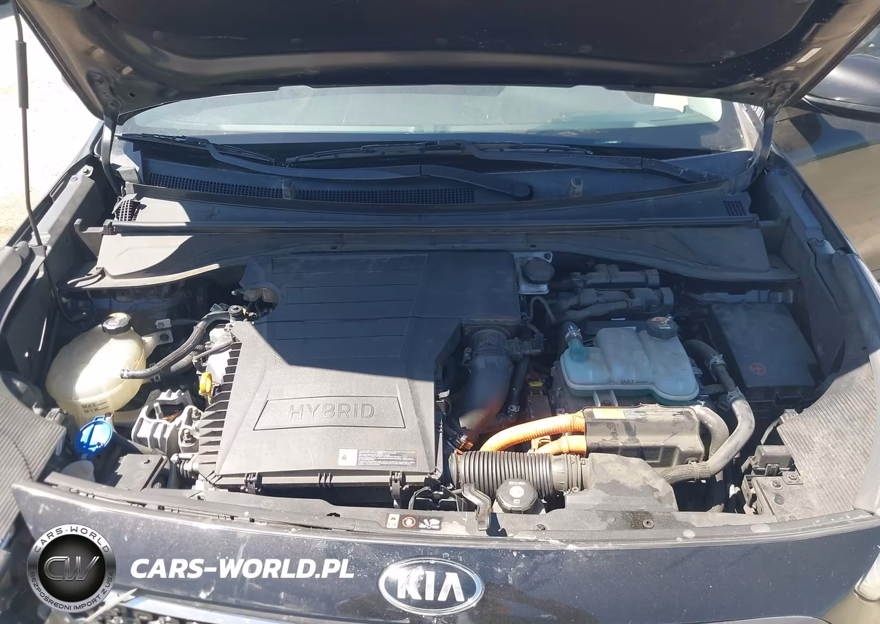 2017 Kia Niro Fe VIN:KNDCB3LC6H5076657 - 10