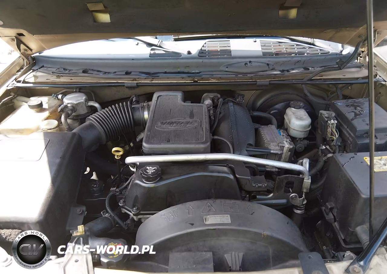 2004 Chevrolet Trailblazer Ext Lt VIN:1GNES16S046128991 - 10