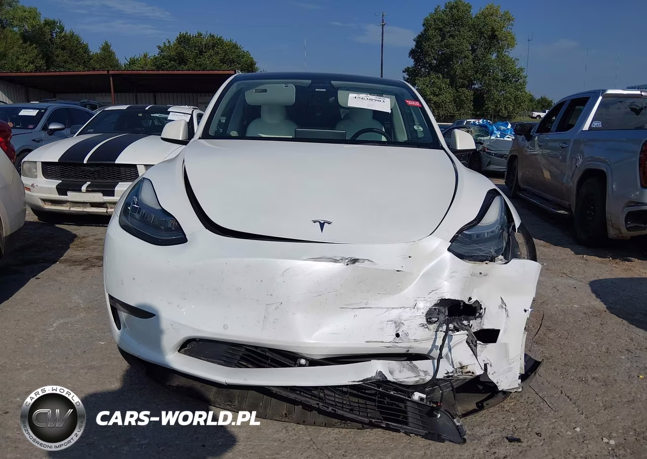 2021 Tesla Model Y Long Range Dual Motor All-Wheel Drive VIN:5YJYGDEE2MF202582 - 11