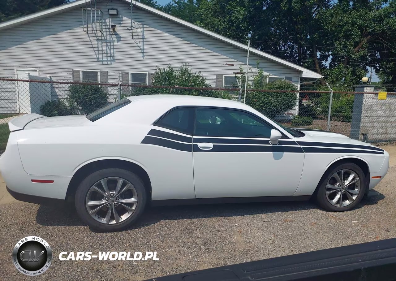 2020 Dodge Challenger Gt Awd VIN:2C3CDZKG9LH152704 - 13