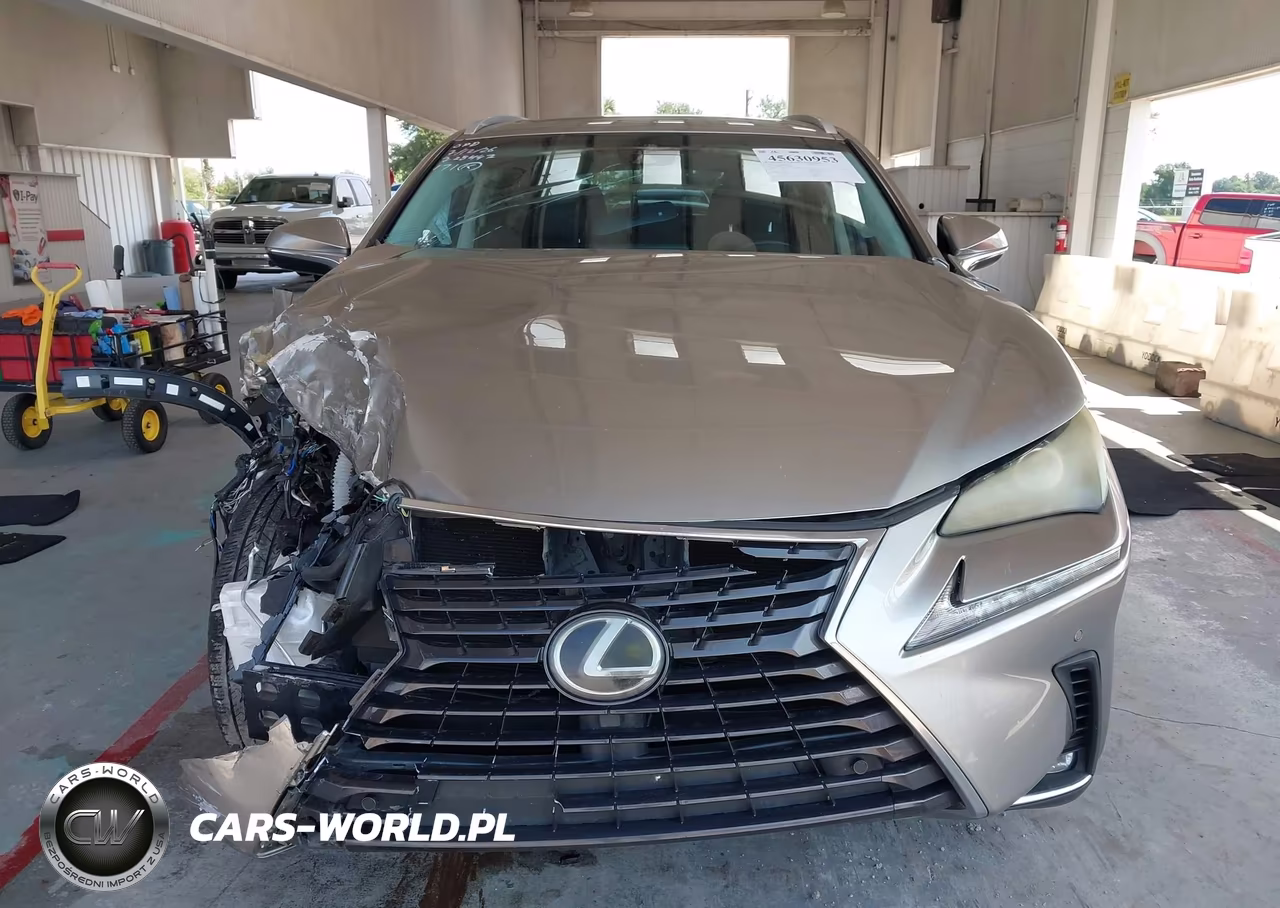 2018 Lexus Nx 300 VIN:JTJYARBZ6J2098826 - 12