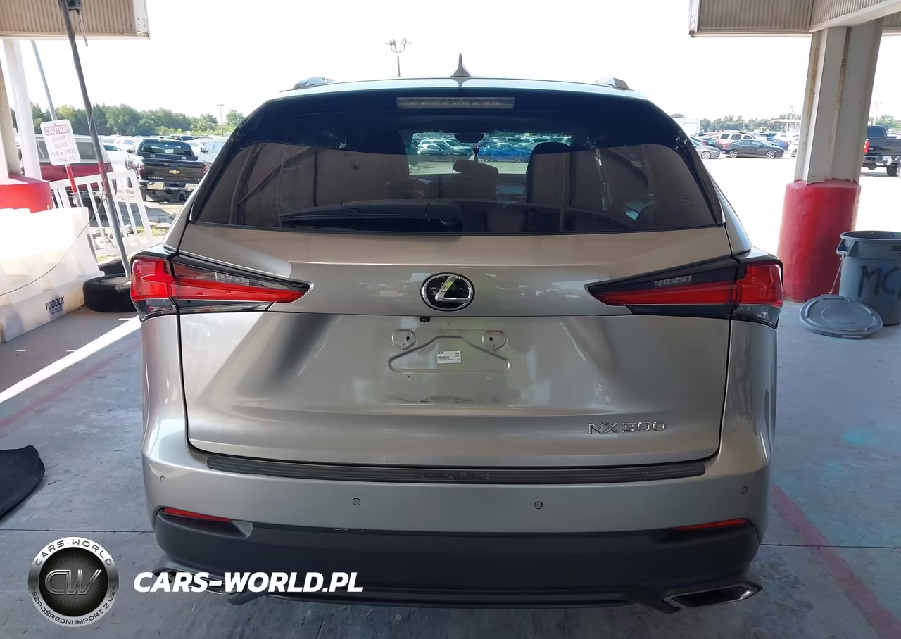 2018 Lexus Nx 300 VIN:JTJYARBZ6J2098826 - 16