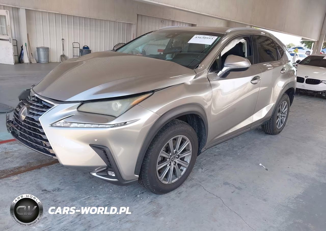 2018 Lexus Nx 300 VIN:JTJYARBZ6J2098826 - 2