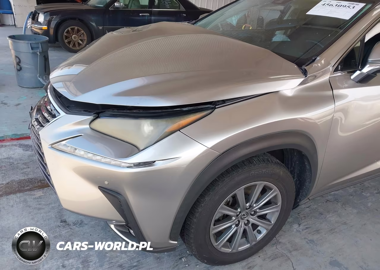 2018 Lexus Nx 300 VIN:JTJYARBZ6J2098826 - 6