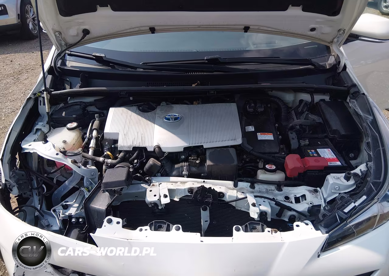 2019 Toyota Prius Limited VIN:JTDKARFU5K3091028 - 10
