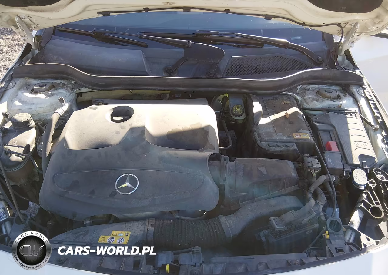 2014 Mercedes-Benz Cla 250 VIN:WDDSJ4EB8EN040589 - 10