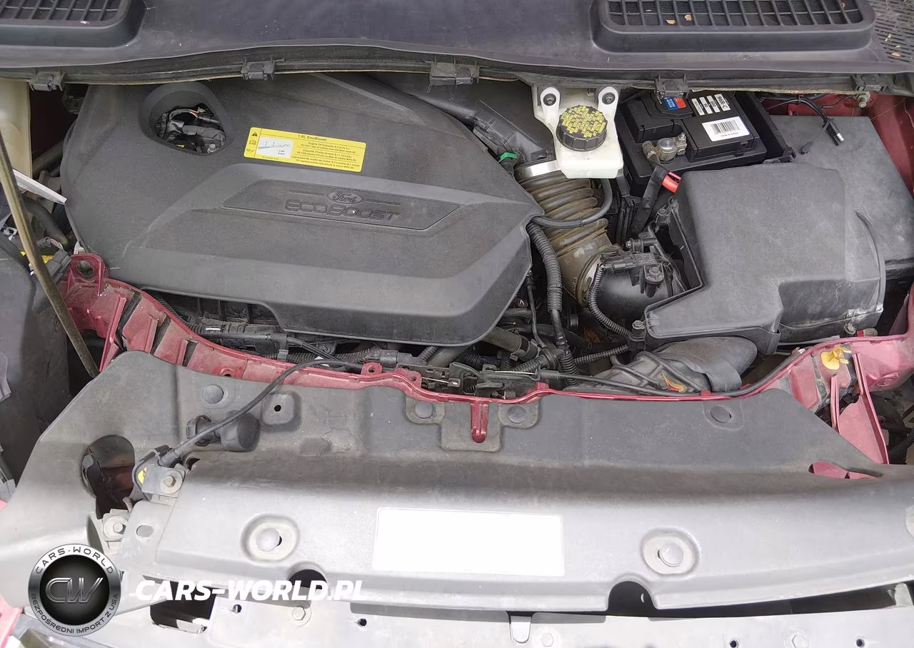 2013 Ford Escape Sel VIN:1FMCU0HX9DUB80916 - 10