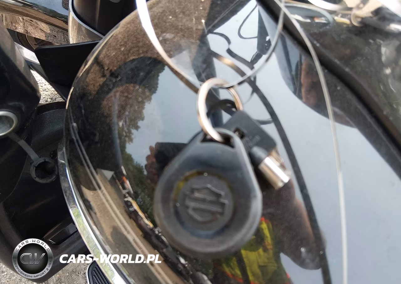 2016 Harley-Davidson Fltru VIN:1HD1KGL15GB604071 - 11