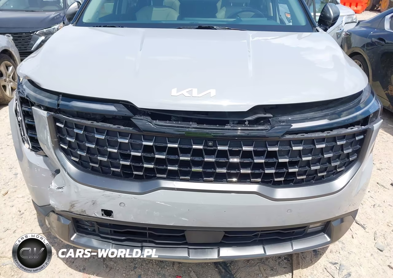 2025 Kia Carnival Mpv Sx Prestige VIN:KNDNE5K35S6462114 - 6