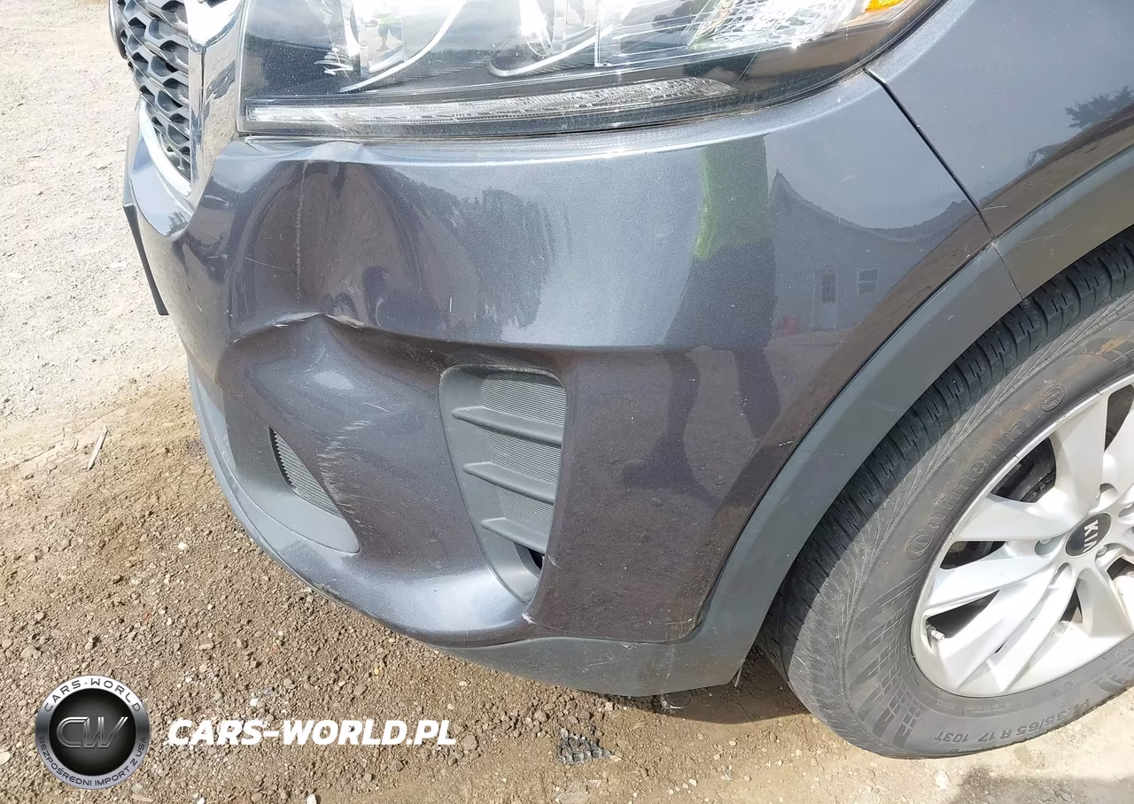 2019 Kia Sorento 3.3L Lx VIN:5XYPGDA55KG488757 - 17