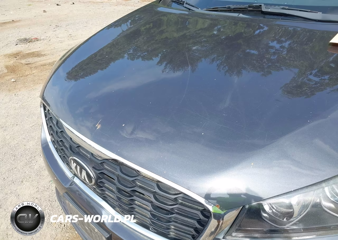 2019 Kia Sorento 3.3L Lx VIN:5XYPGDA55KG488757 - 18