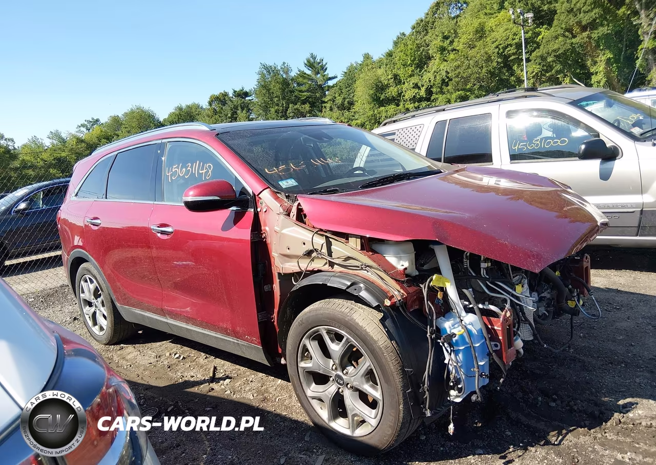 2019 Kia Sorento 3.3L Ex Sport VIN:5XYPHDA58KG593418 - 14
