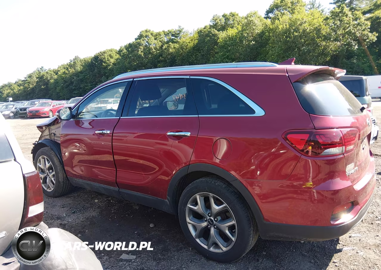 2019 Kia Sorento 3.3L Ex Sport VIN:5XYPHDA58KG593418 - 15