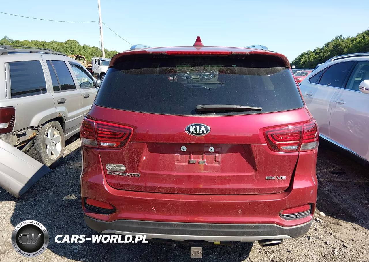 2019 Kia Sorento 3.3L Ex Sport VIN:5XYPHDA58KG593418 - 17