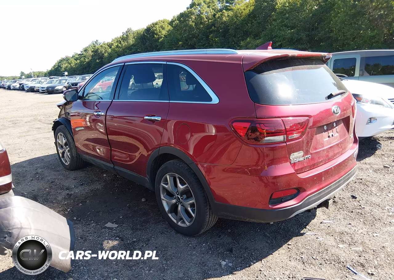2019 Kia Sorento 3.3L Ex Sport VIN:5XYPHDA58KG593418 - 3