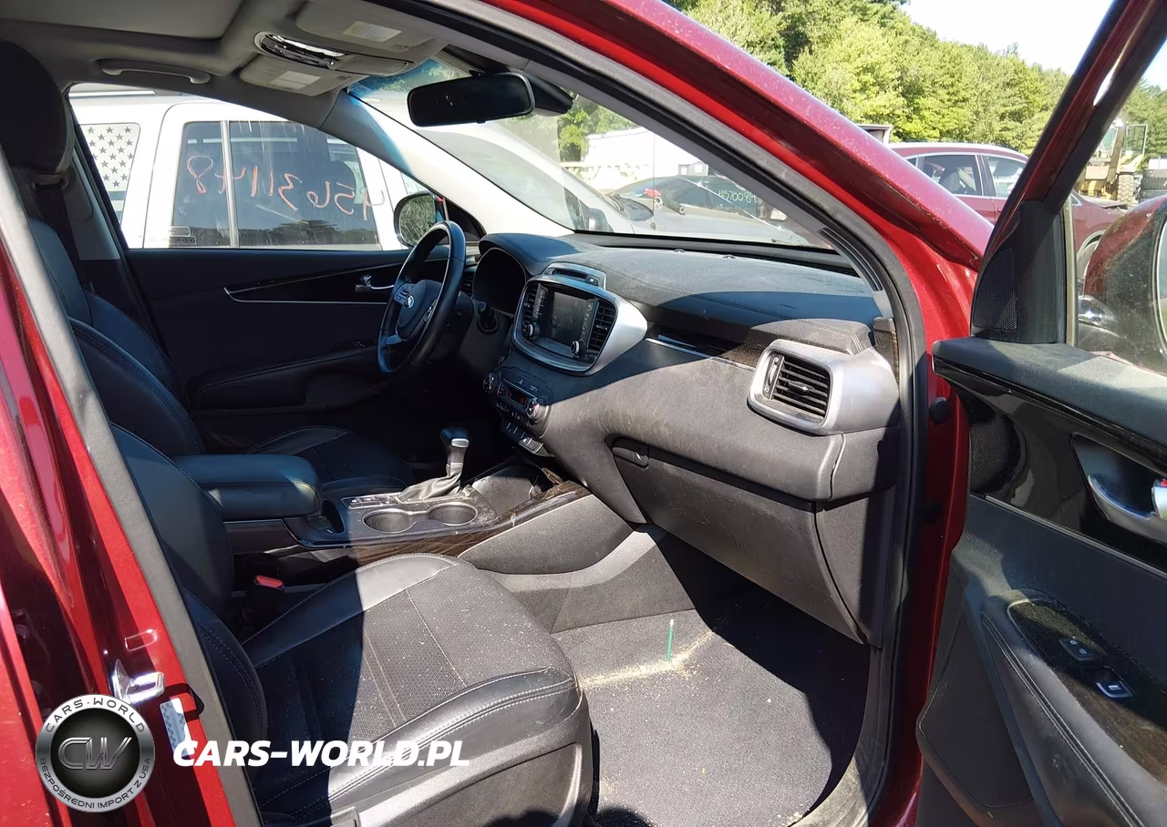 2019 Kia Sorento 3.3L Ex Sport VIN:5XYPHDA58KG593418 - 5