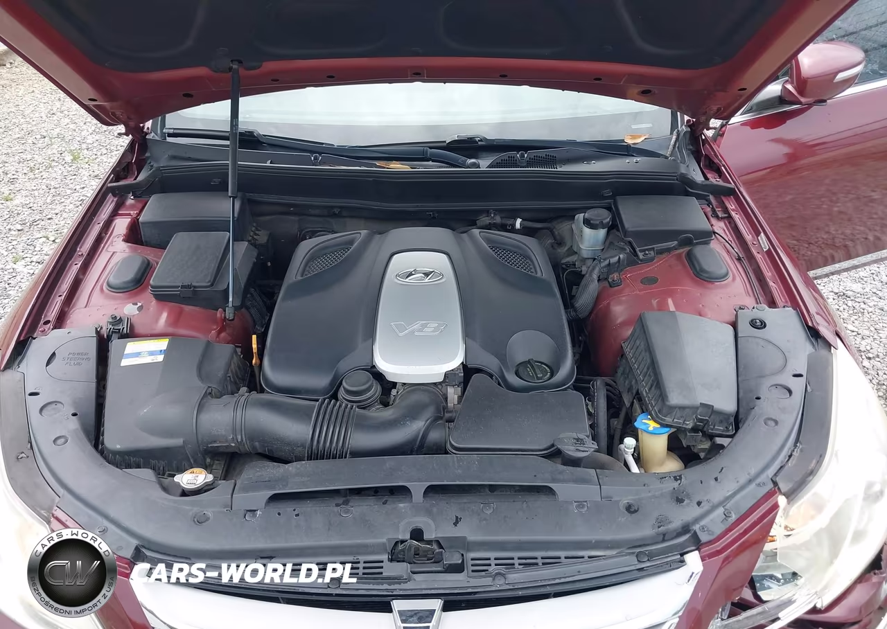 2012 Hyundai Genesis 4.6 VIN:KMHGC4DF8CU155674 - 10