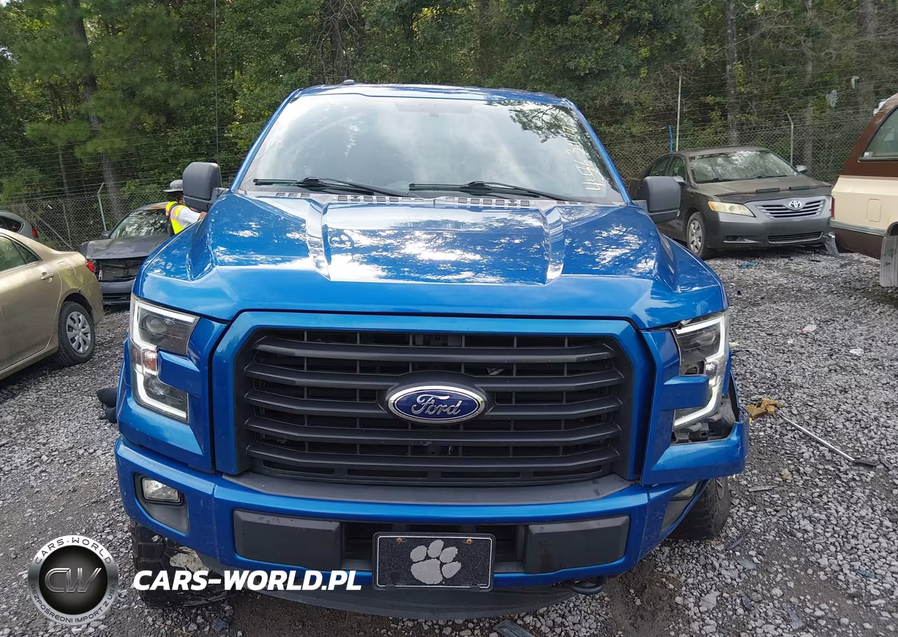 2016 Ford F-150 Xlt VIN:1FTEW1EP4GFC12200 - 12