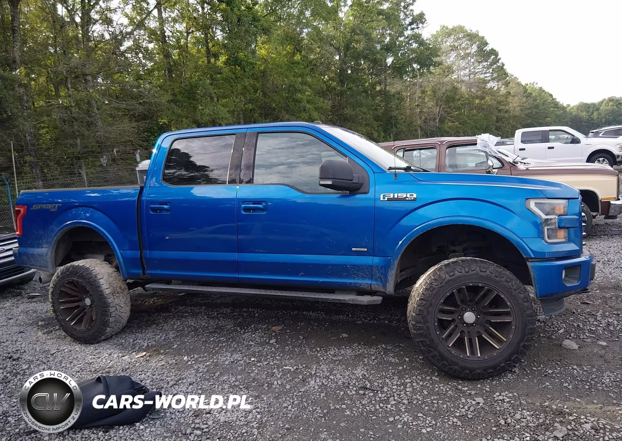 2016 Ford F-150 Xlt VIN:1FTEW1EP4GFC12200 - 13