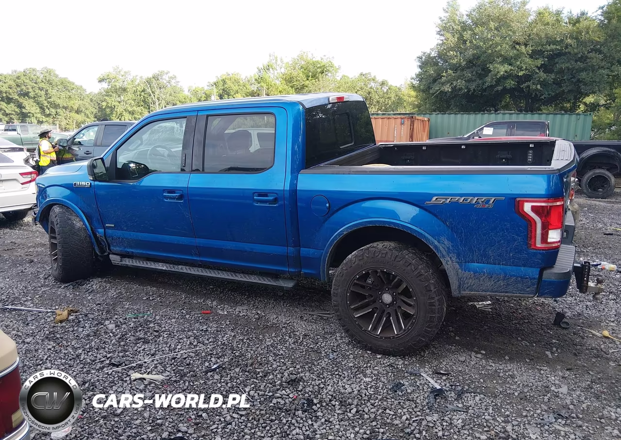 2016 Ford F-150 Xlt VIN:1FTEW1EP4GFC12200 - 14