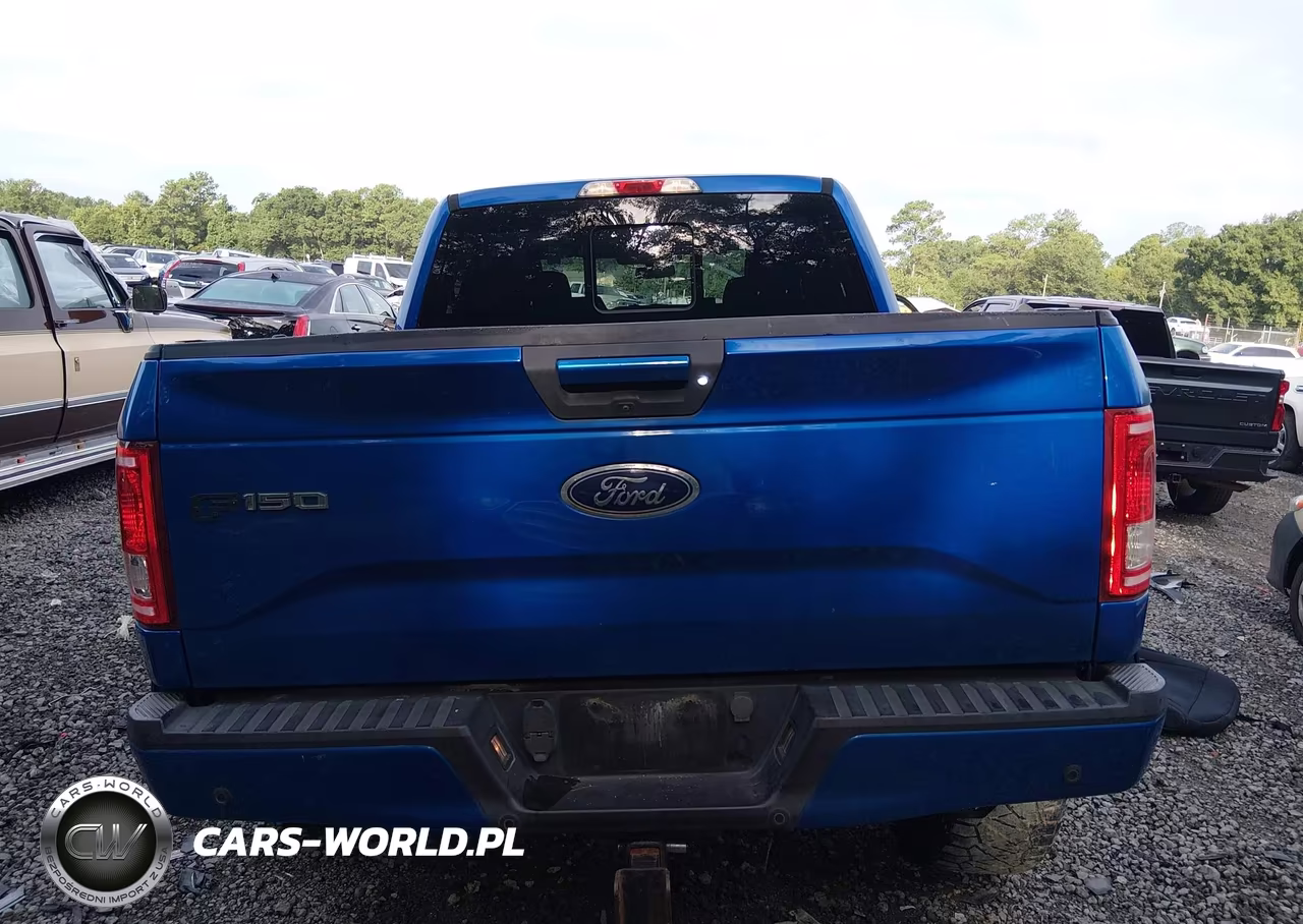 2016 Ford F-150 Xlt VIN:1FTEW1EP4GFC12200 - 16