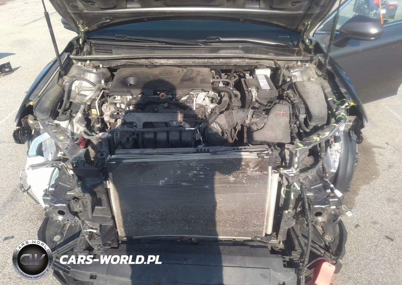 2019 Toyota Camry Le VIN:4T1B11HK6KU242784 - 10