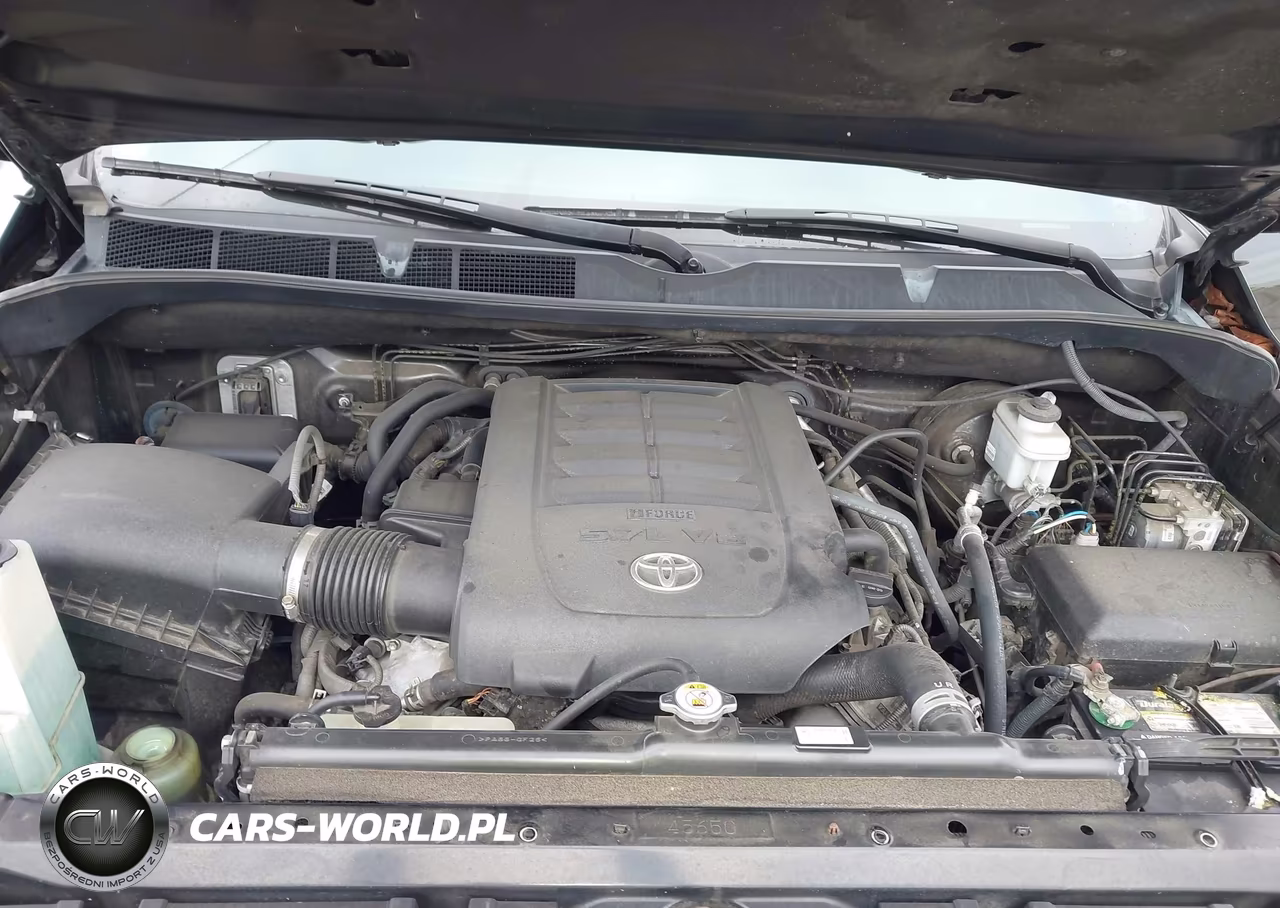 2019 Toyota Tundra Trd Pro 5.7L V8 VIN:5TFDY5F10KX816773 - 10